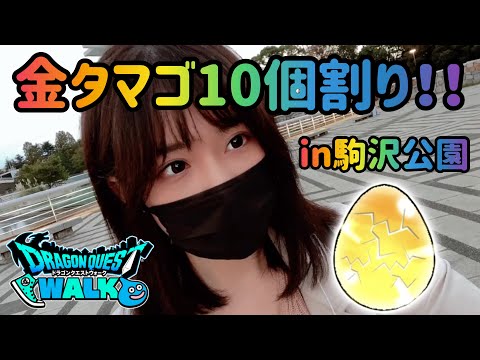 「お外でDQW！お散歩スポット巡りツアー」第1回駒沢オリンピック公園！